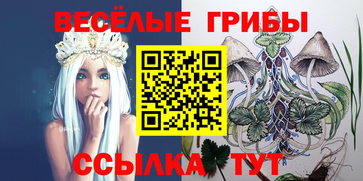 Галлюциногенные грибы Psilocybine cubensis  Вход с VPN  Павловский Посад 